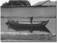 La Barca de Rosendo