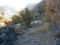 Camino Real