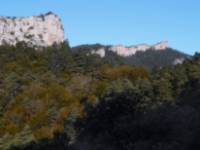 San Martín de Don