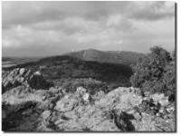El Teso