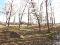 EL BALCÓN DE CAMPOS, Autilla del Pino, (Palencia), vista exterior