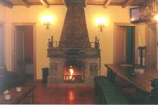 EL BOSQUE, vista interior
