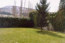 CASA DE LA HIEDRA_1, Abejar, Soria