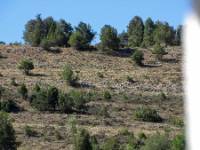 EL CERRO, Vadillo, (Soria), vista interior