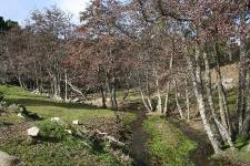 LA MAJADILLA, Las Navas del Marqués, (Ávila), vista exterior
