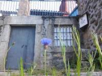 AL PATIO, Los Loros, (Ávila), vista exterior