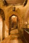 SENDA DE LOS FRAILES, Castroverde de Campos, (Zamora), vista interior