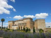 CASTILLO DEL BUEN AMOR
