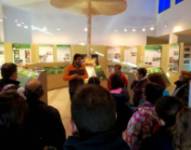 Visita al museo