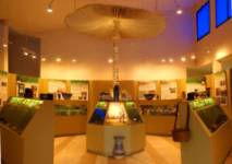 Centro de Interpretación de Especies Micológicas de Rabanales