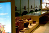 Museos del vino