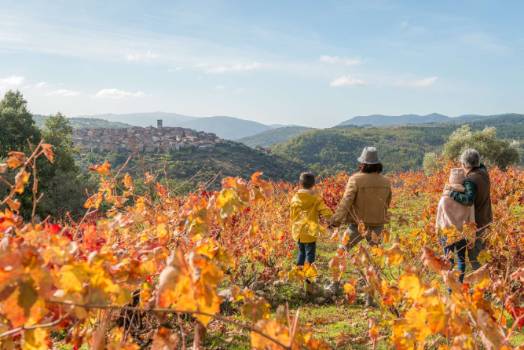 Ruta del vino Sierra de Francia