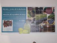 Museo del Vino