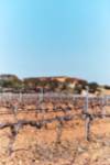 VileLAfinca_1