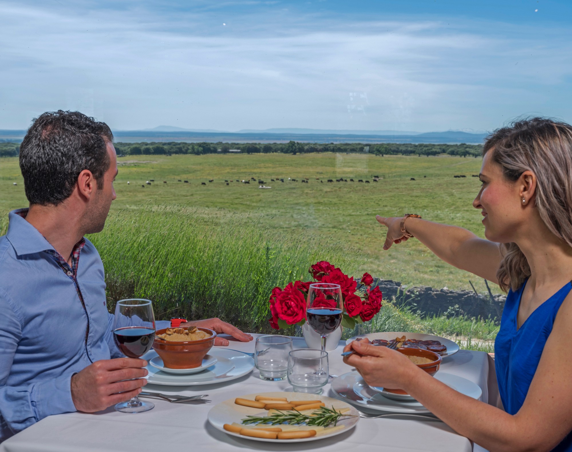 hq Dehesa de Salamanca