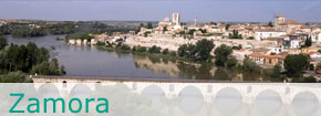 Zamora. This link opens in a popup window