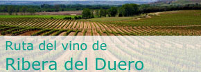 Ruta del Vino de Ribera del Duero. This link opens in a popup window