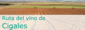 Ruta del Vino de Cigales. This link opens in a popup window