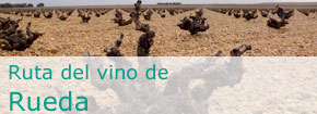 Ruta del Vino de Rueda. This link opens in a popup window