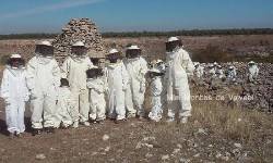 MIEL MONTES DE VALVENÍ, Valoria la Buena, (Valladolid), Visita a colmenar