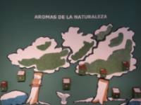 LA EXPERIENCIA DE LA NATURALEZA