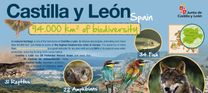 Castilla y León, Paraíso ornitológicoCastilla y León, Ornithological paradise