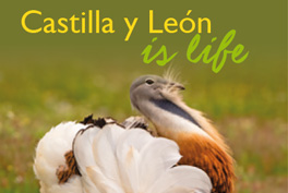 ¿Why Castilla y León?
