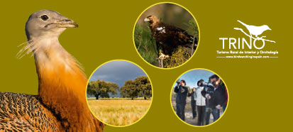 Come to Castilla y León. Discover its birdlife