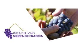 mapa_ruta_del_vino_2021
