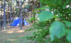 CIUDAD DE LEON, Camping segunda, Golpejar de la Sobarriba, (León)