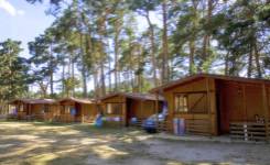 COBIJO, Camping primera, Vinuesa, (Soria)