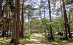 COBIJO, Camping primera, Vinuesa, (Soria)