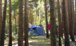 COBIJO, Camping primera, Vinuesa, (Soria)