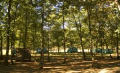 LA DEHESA, Camping segunda, Bembibre, (León)