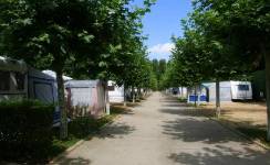 DON SUERO DE QUIÑONES, Camping segunda, Hospital de Órbigo, (León)