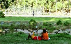 REFUGIO DE PESCADORES, Camping segunda, Covaleda, (Soria)