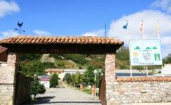 UROGALLO, Camping segunda, Puebla de Lillo, (León)