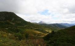 UROGALLO, Camping segunda, Puebla de Lillo, (León)
