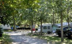 VALLE DE IRUELAS, Camping primera, El Barraco, (Ávila)