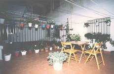 Betania, Almazán, Soria