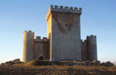 Castillo de Villalonso