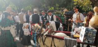 Toro, Fiesta de la Vendimia