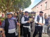 Toro, Fiesta de la Vendimia