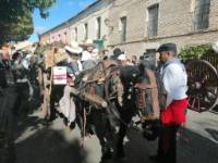 Toro, Fiesta de la Vendimia