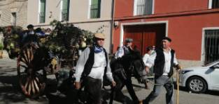 Toro, Fiesta de la Vendimia