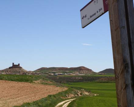 Señal senderista del Camino del Cid con el castillo de Montuenga al fondo, Soria (Cappa Segis)
