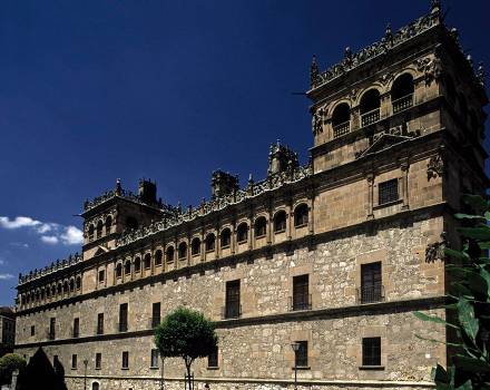 Palacio de Monterrey. Salamanca