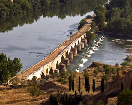 Río Duero y puente románico. Toro (Zamora)