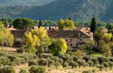 Casa, entorno y dependencias de la finca Quexigal