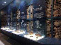Museo de los Mares Antiguos